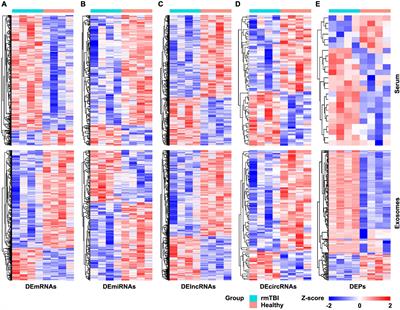 Potential blood biomarkers for chronic traumatic encephalopathy: The multi-omics landscape of an observational cohort